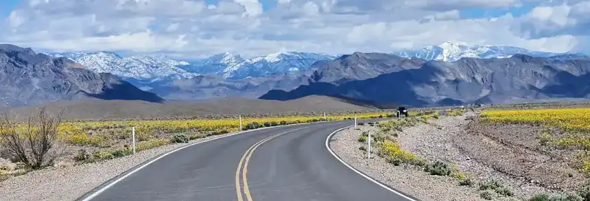 Color perception in nature - road scene with variable lighting Winding desert road with mountains and wildflowers, showing how distance and lighting affect color appearance